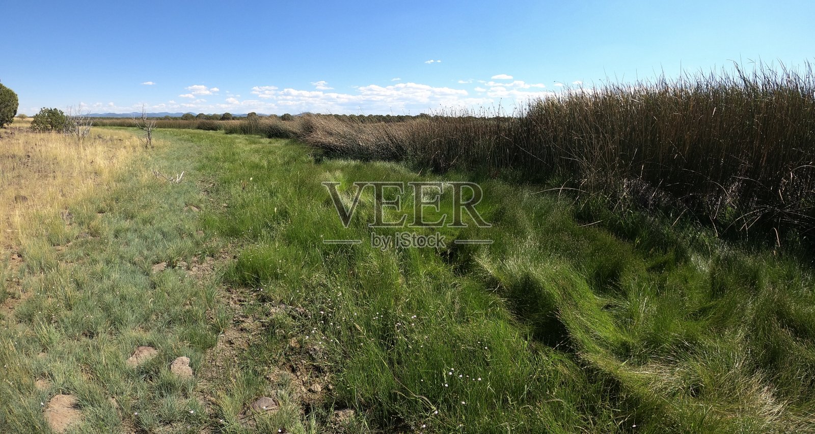 针尾湖照片摄影图片