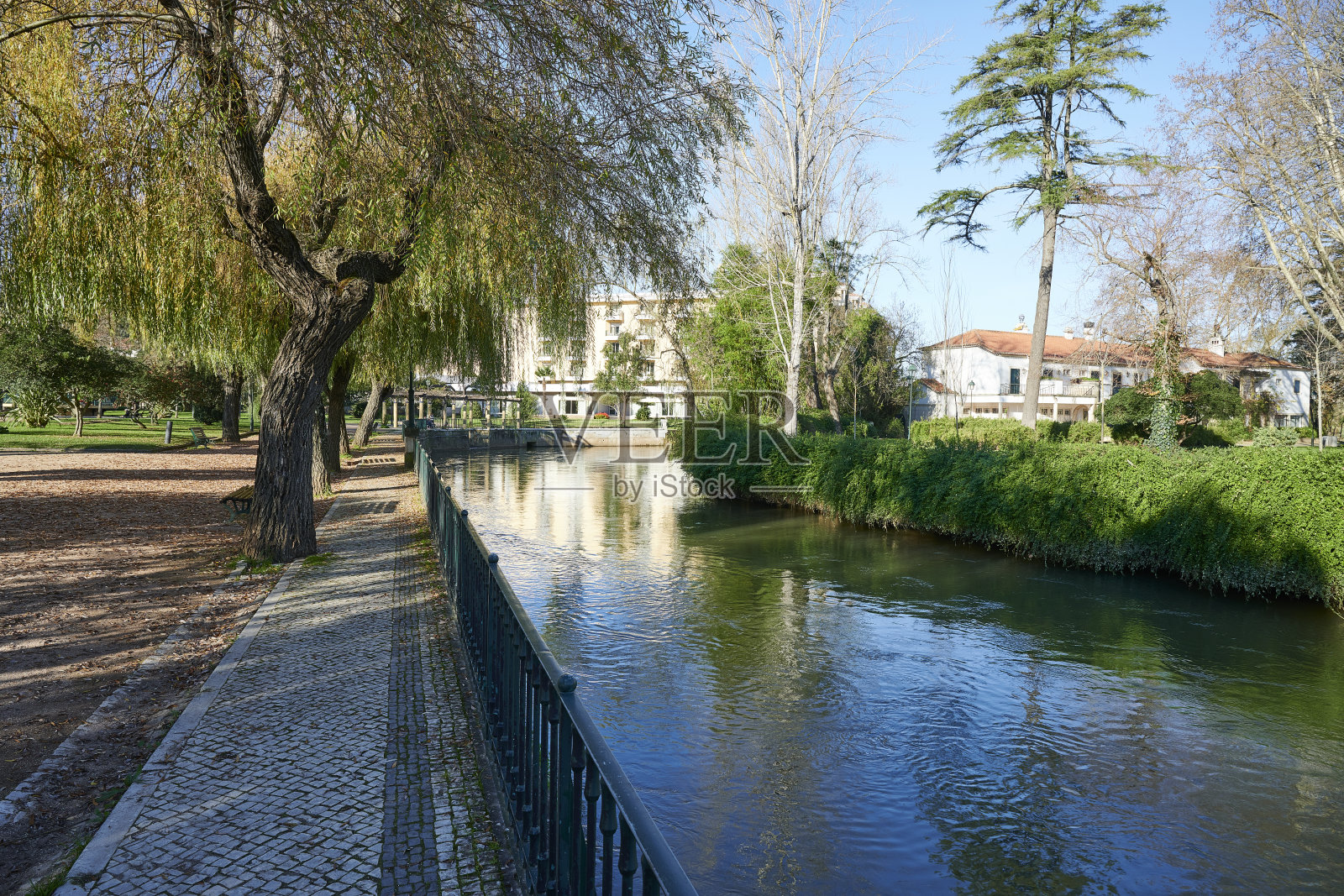 取照片摄影图片