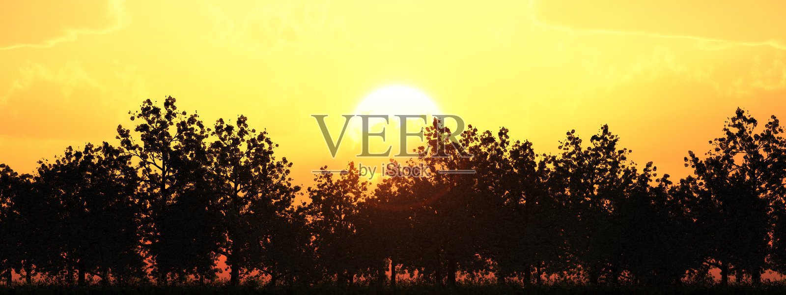 日落和树照片摄影图片