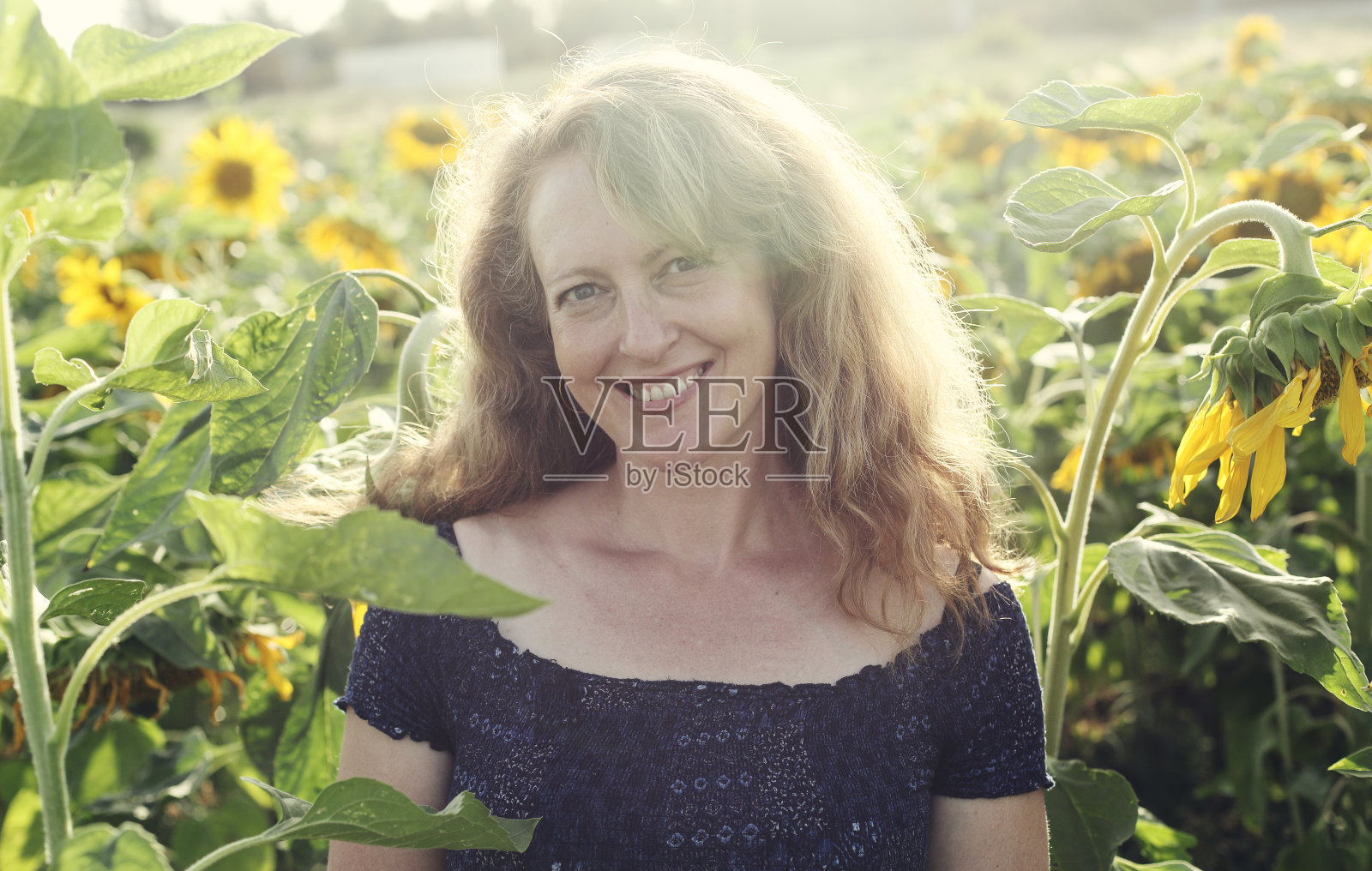 快乐成熟的女人在向日葵地里享受自由的肖像照片摄影图片