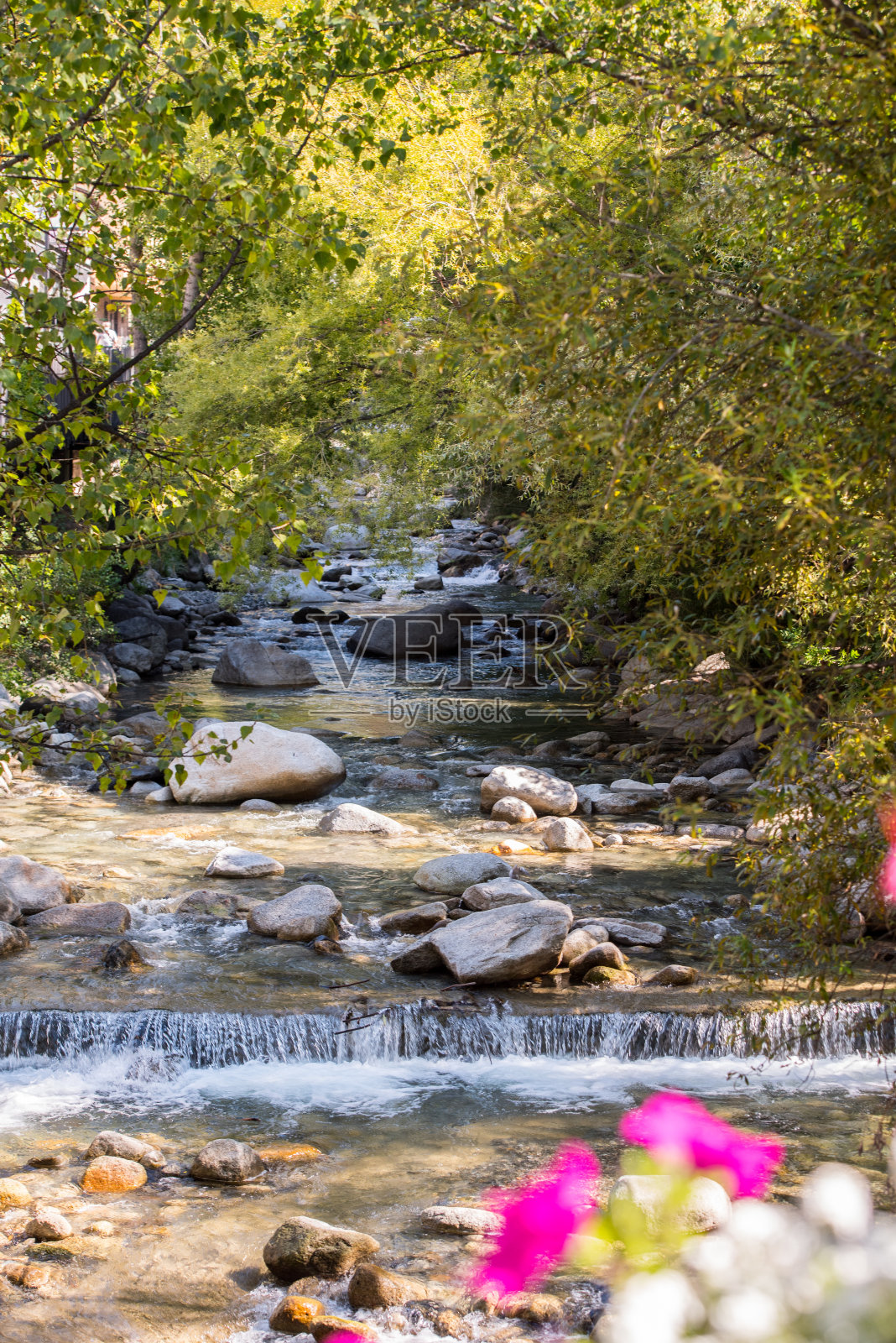 安道尔恩坎普：2020斯巴达勇士赛照片摄影图片