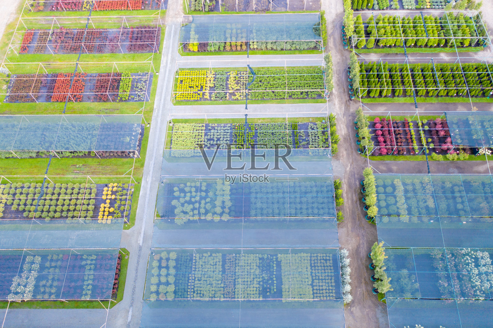 装饰植物的商店或苗圃。无人机的观点照片摄影图片