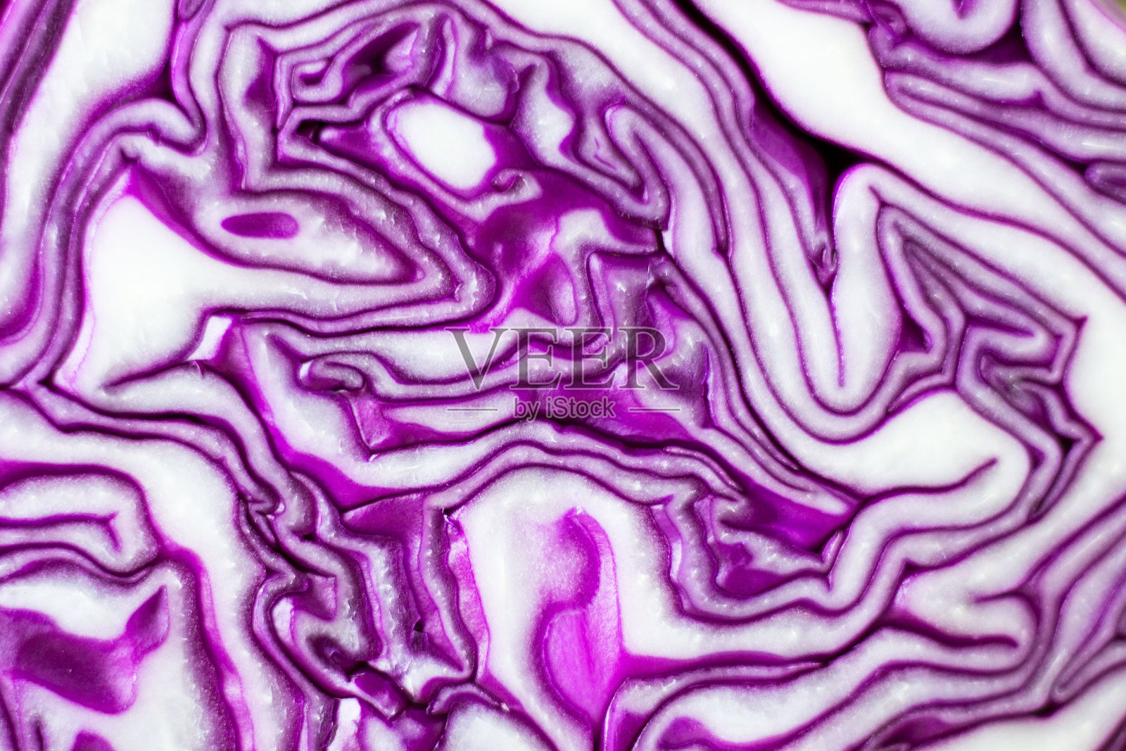 一片紫色的卷心菜。关闭了。宏照片摄影图片