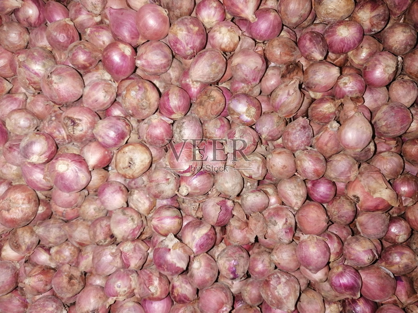 红洋葱背景照片摄影图片