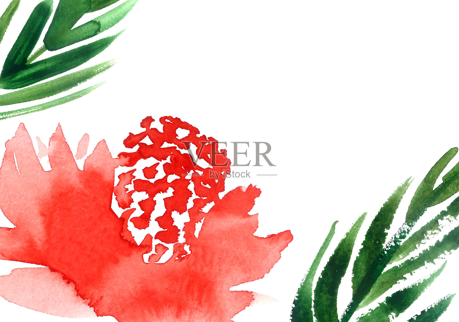 水彩印花卡可印刷。红色和绿色的抽象植物框架。插画图片素材