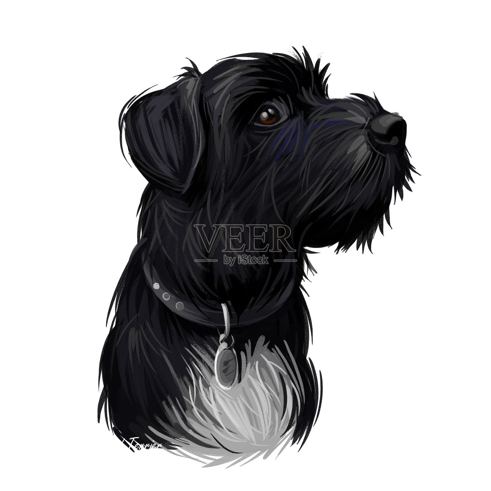 莱克兰小猎犬的小狗脖子上戴着数码艺术项圈。在其他犬科哺乳动物中，有皮毛的长腿宠物和最小的身体。家养狗来自湖区，英国水彩画人像。设计元素图片