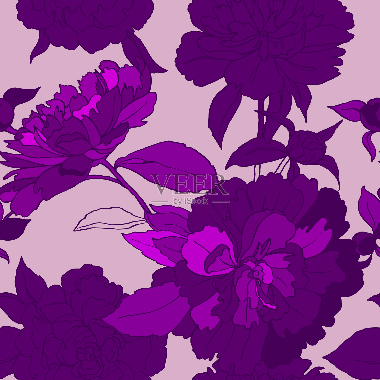 花束装饰的紫罗兰花牡丹插画图片素材