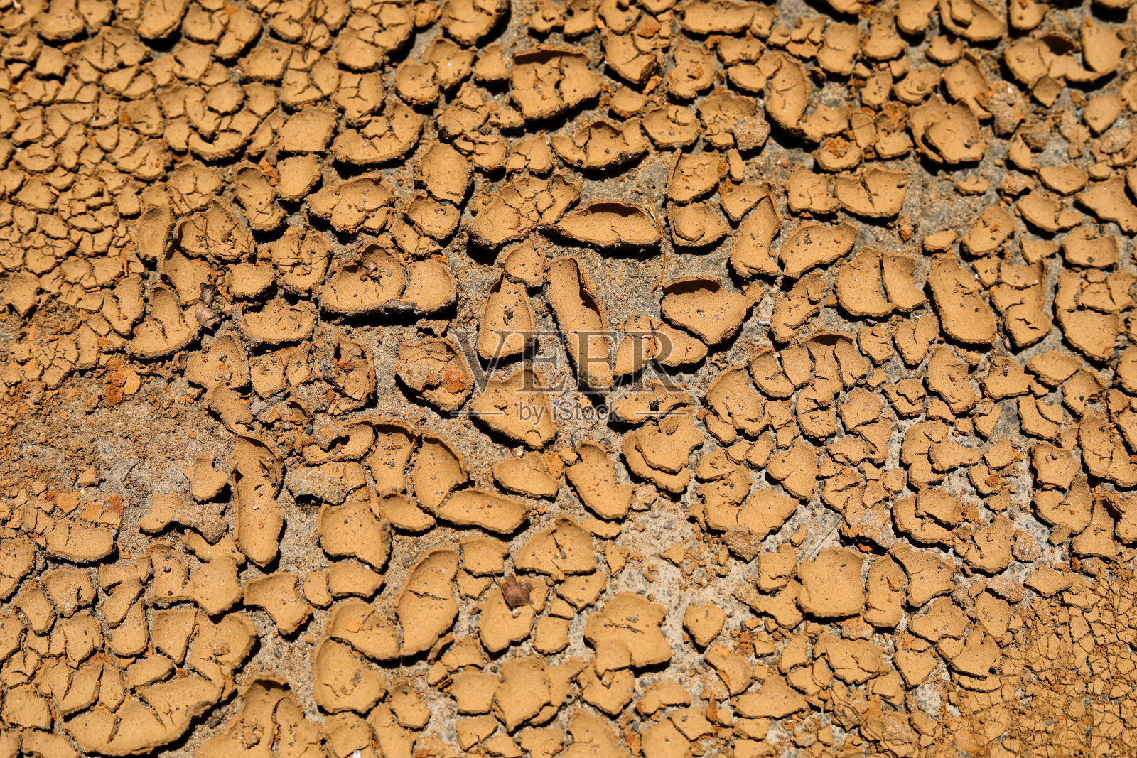 干裂的粘土一直到旱季照片摄影图片