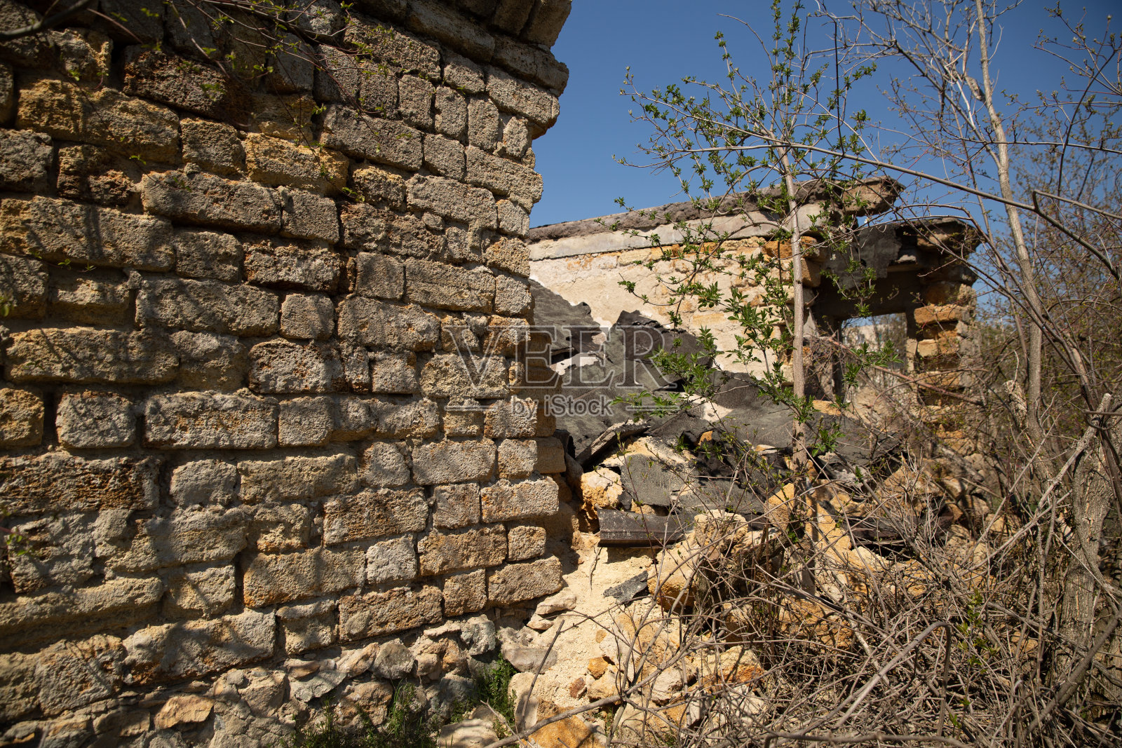 废弃的旧房子。房子周围长着树照片摄影图片