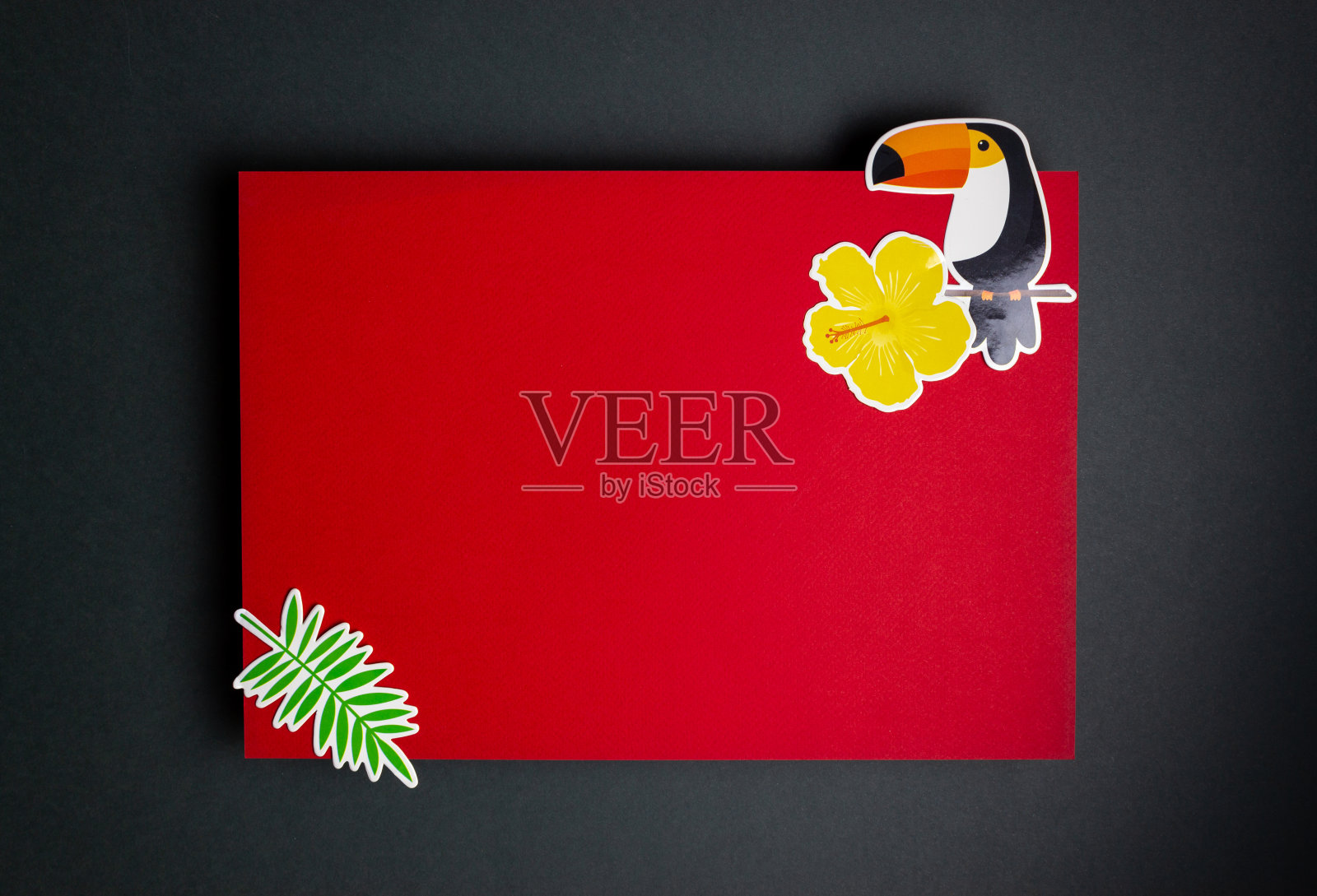 红绿背景上的纸鸟和棕榈树枝。最小的概念。副本的空间。照片摄影图片