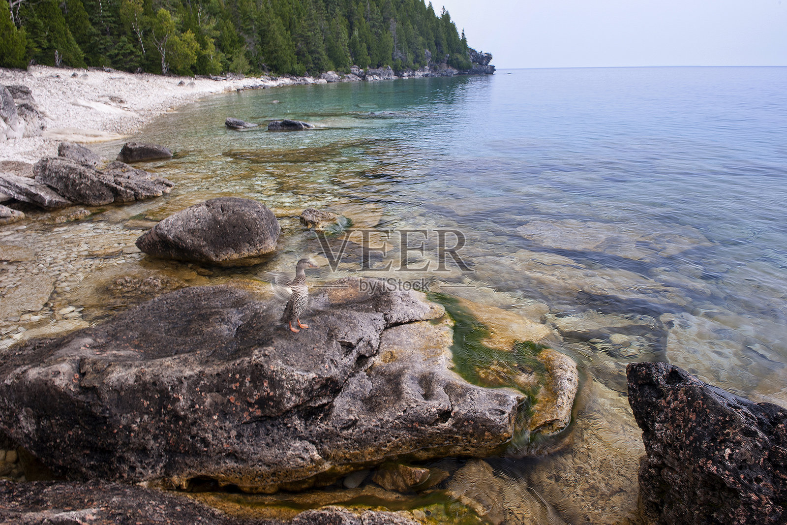 花盆岛，布鲁斯半岛国家公园，托博莫里，加拿大照片摄影图片
