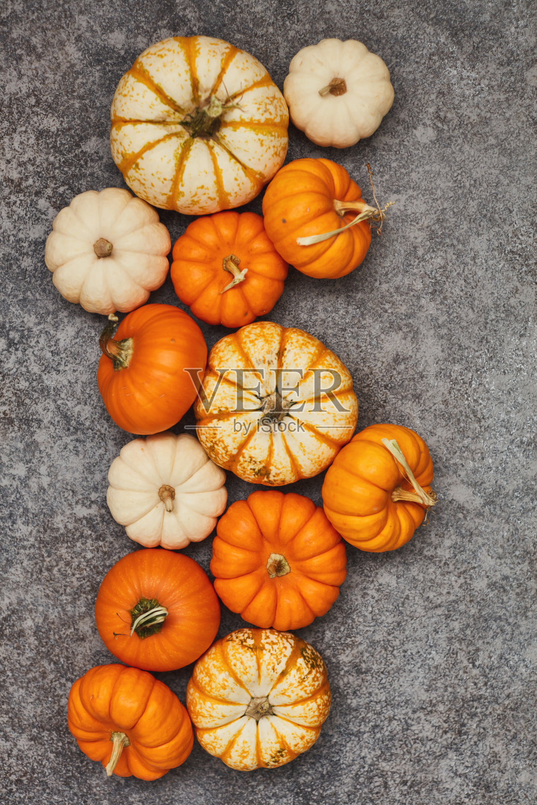 感恩节背景秋天与南瓜灰色照片摄影图片