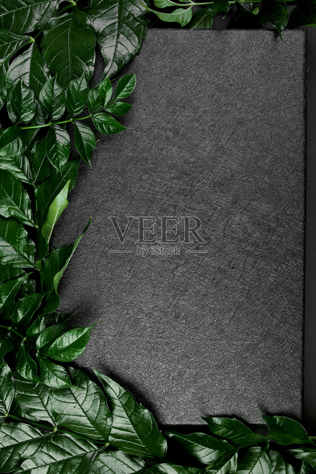 黑色盒子的模型在一个黑色的背景与绿色的叶子在边上照片摄影图片