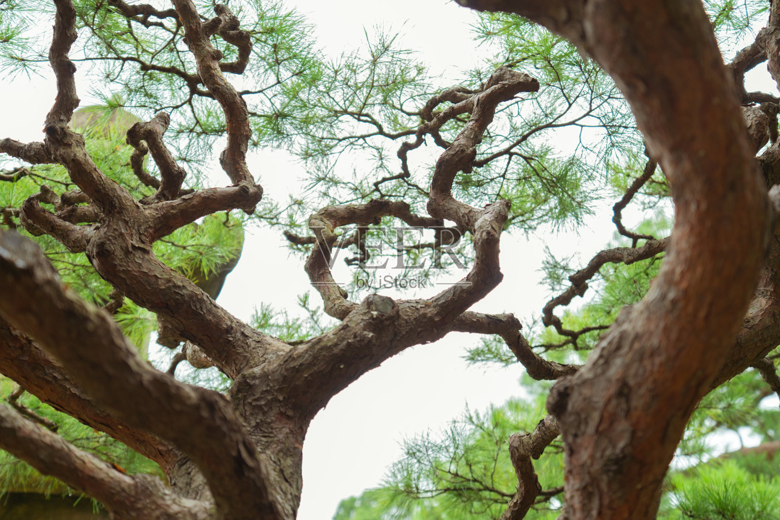 风景公园，丰富的自然照片摄影图片