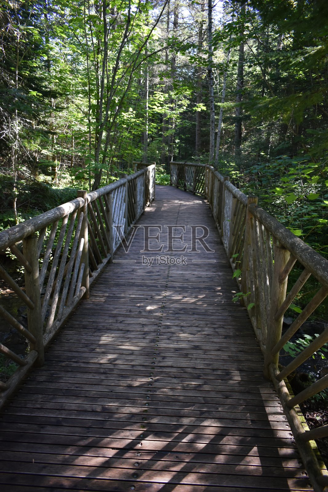 小道照片摄影图片