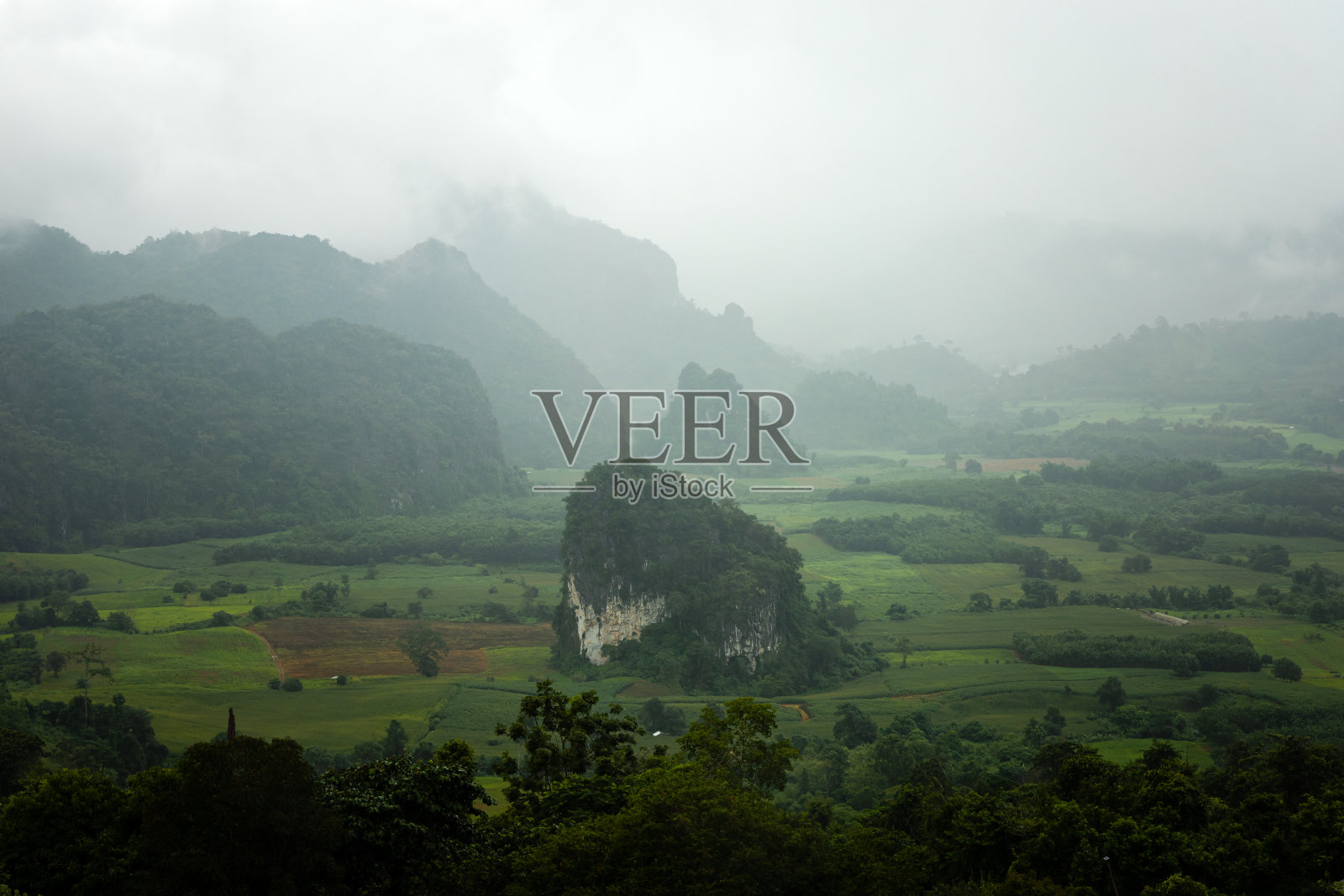 泰国巴瑶省的福兰卡国家公园的风景晨雾。照片摄影图片