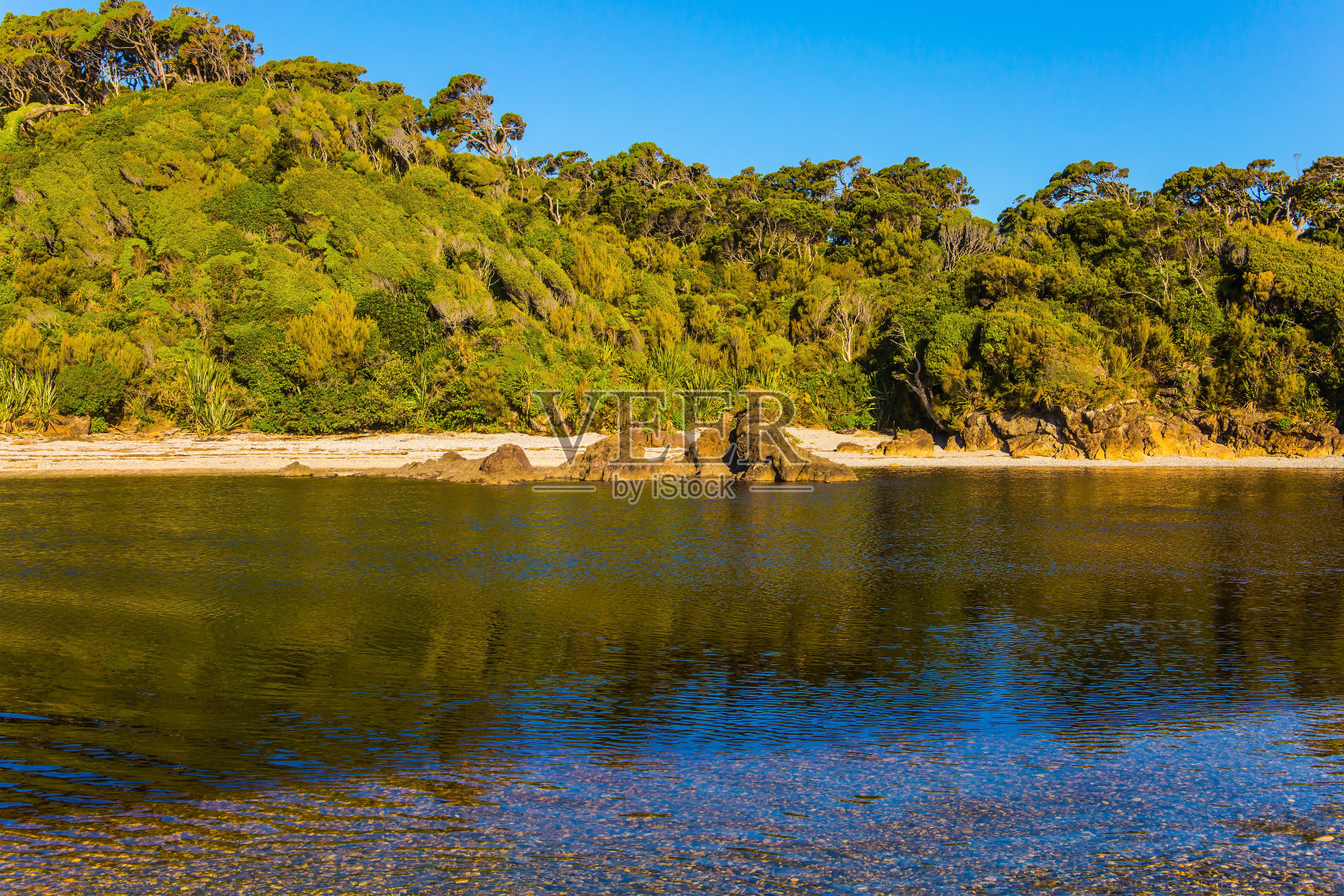 水坑照片摄影图片