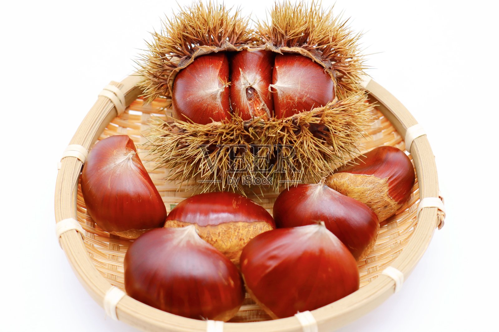 栗照片摄影图片