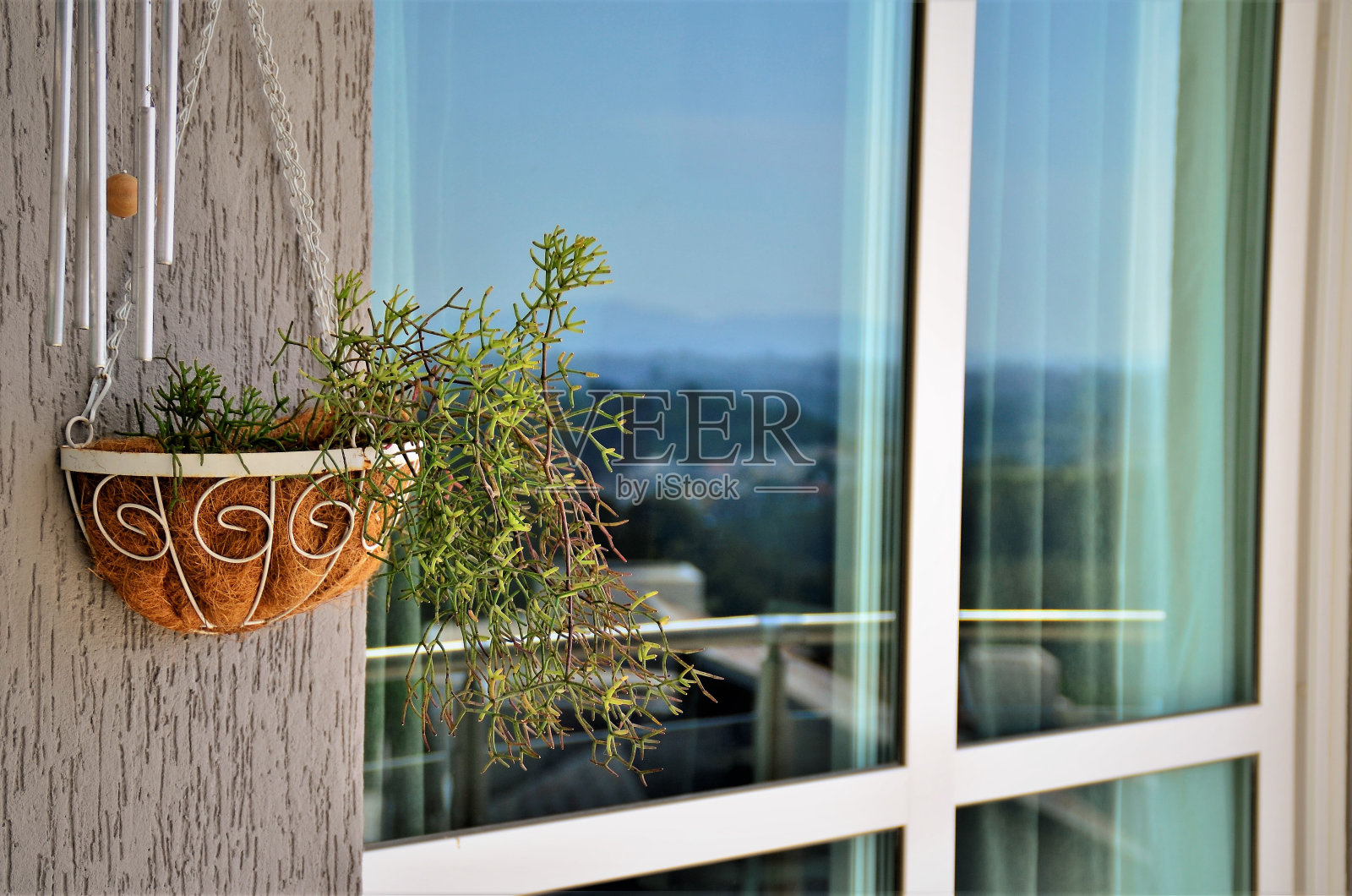 阳台上挂着花瓶，里面装着美丽的鱼鳞花照片摄影图片