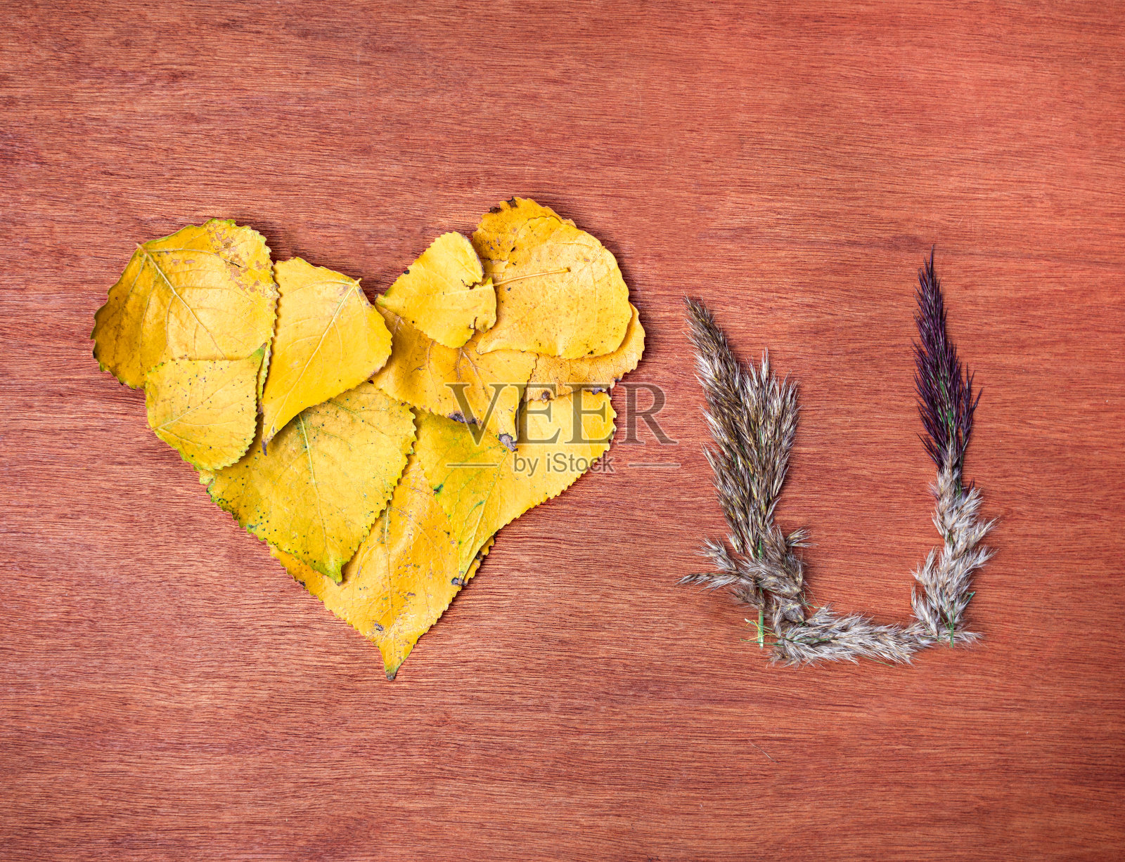 爱你照片摄影图片