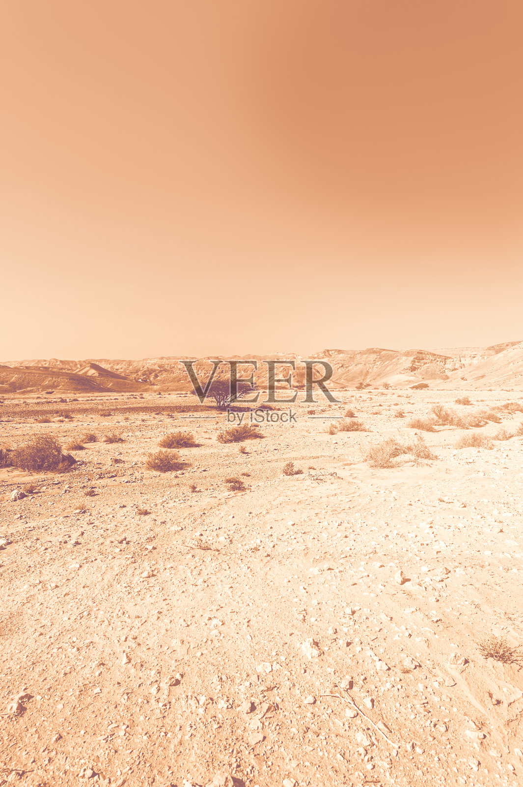 沙漠的孤独和绝望照片摄影图片