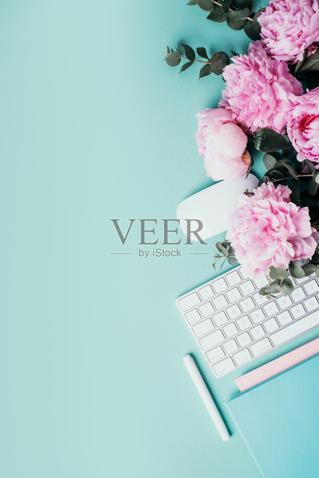女性的工作空间。白色电脑键盘，鼠标，牡丹花，桉树花在蓝色的背景。前视图。副本的空间。平的。博客、商业概念。模拟。生日,女人一天。照片摄影图片
