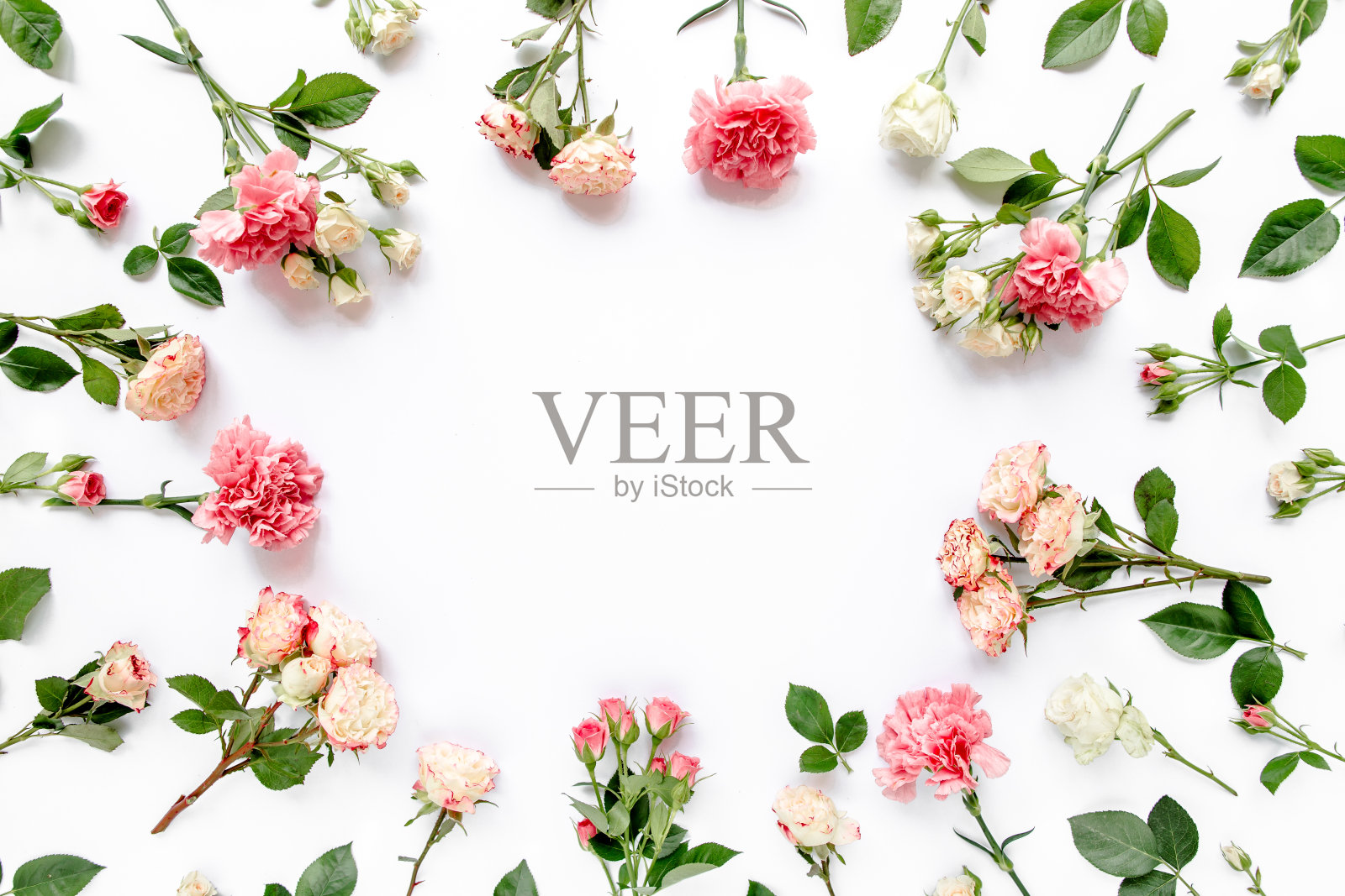 框架由美丽的粉红色玫瑰和桉树枝在白色的背景。公寓平躺着，俯视图。花的框架。帧的花照片摄影图片