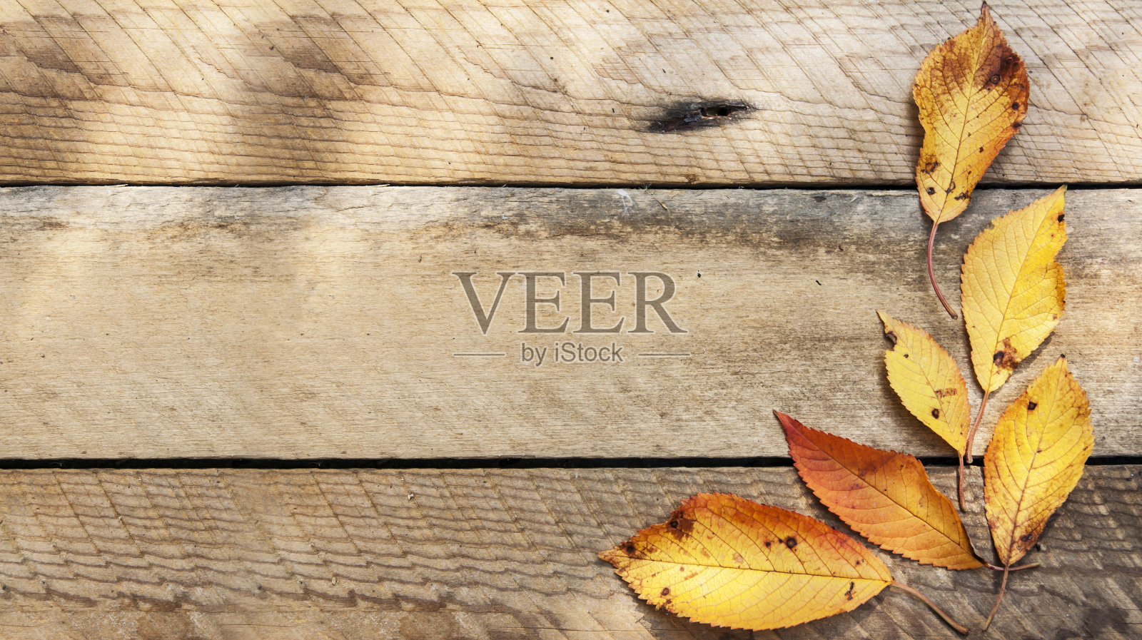 木制背景上的自然落叶。副本的空间。秋天的概念照片摄影图片