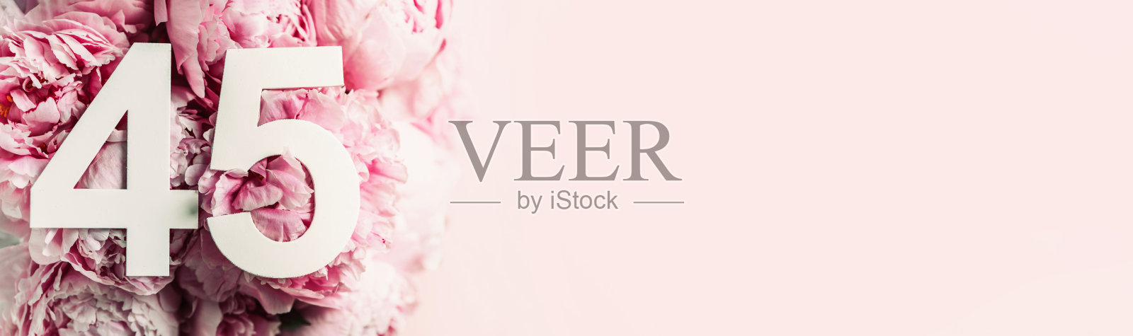 牡丹花，位数45。生日贺卡上有题词45。周年的概念。前视图。花背景上的白色数字。数字，庆祝活动，模板，传单照片摄影图片