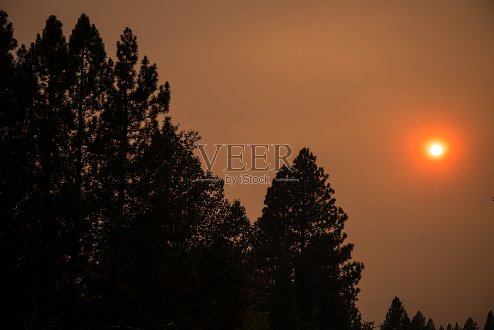 加州北部的野火烟雾照片摄影图片