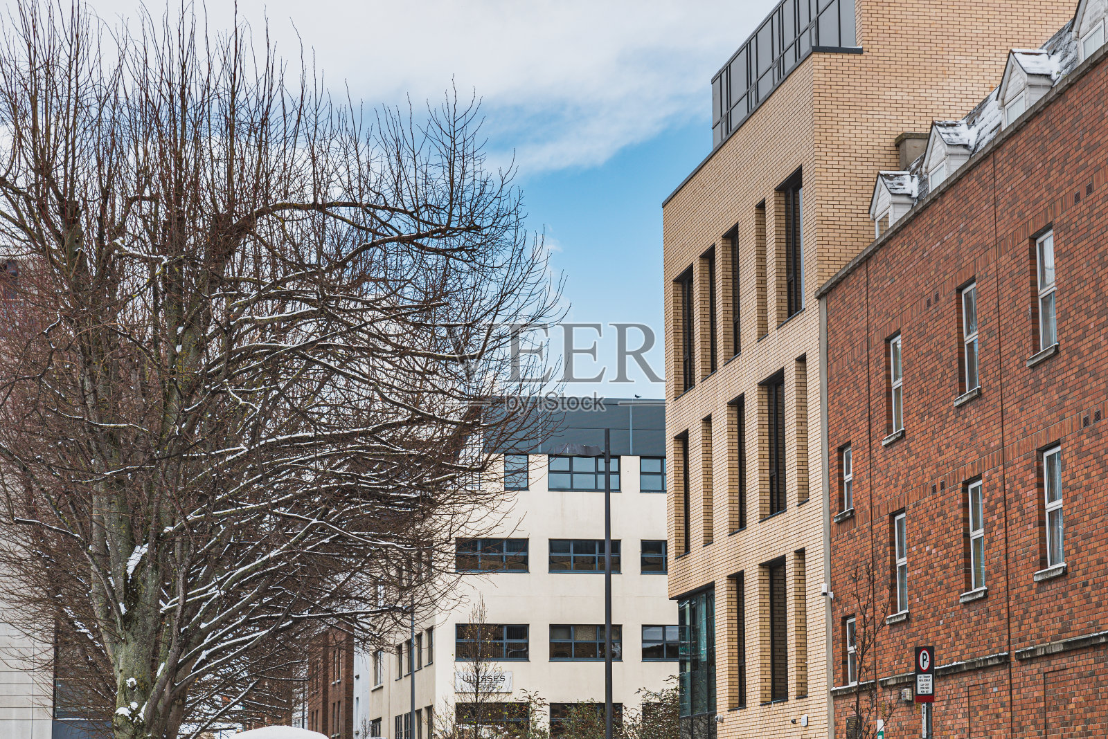 爱尔兰的现代建筑和寒冷的天气:白雪皑皑的树梢和市中心的砖墙建筑。爱尔兰都柏林照片摄影图片