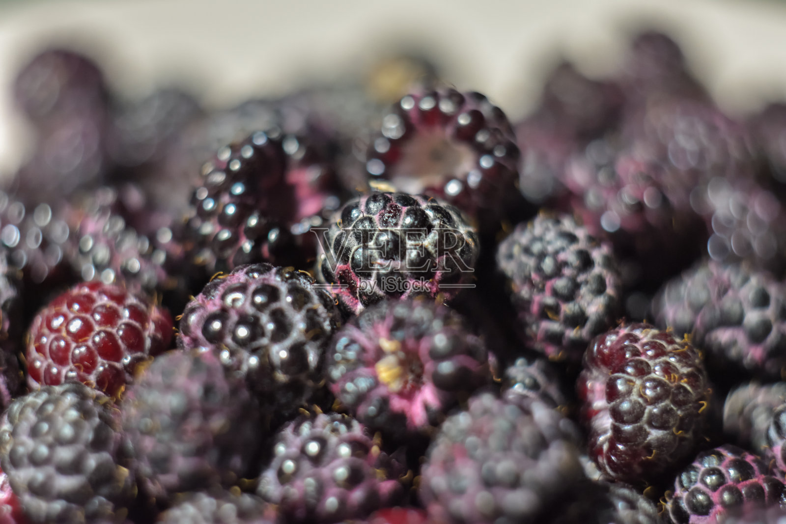 黑覆盆子特写，微距照片摄影图片