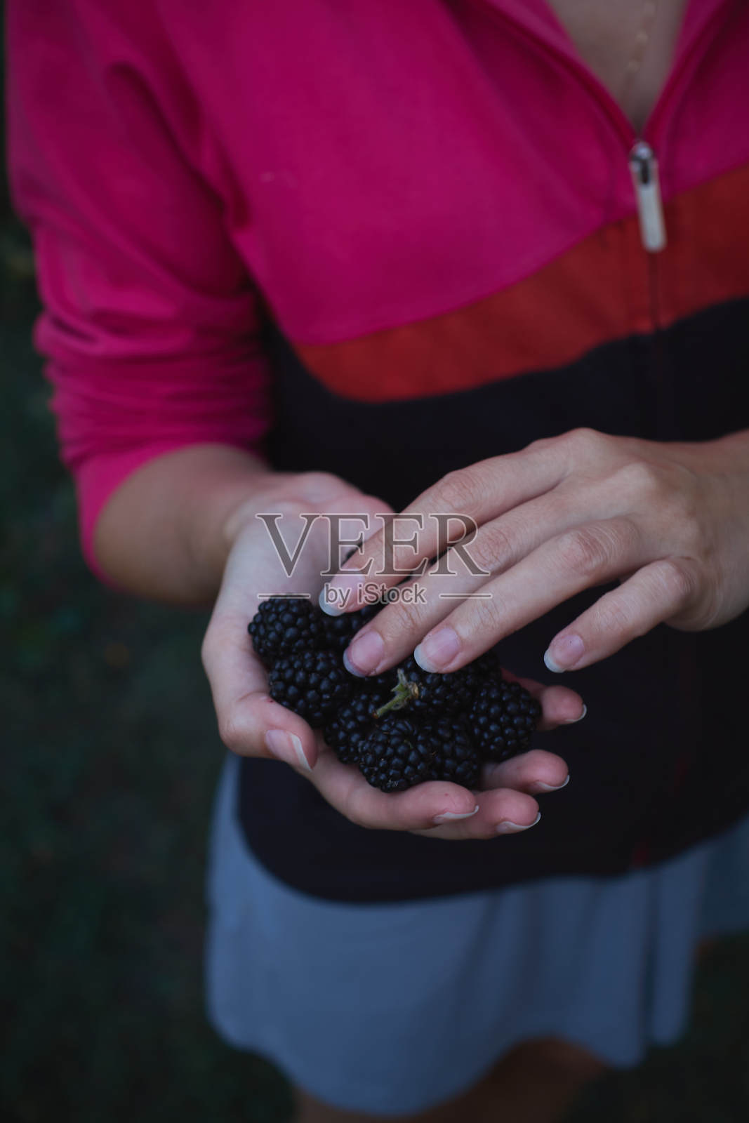 手里拿着新鲜黑莓的女孩照片摄影图片