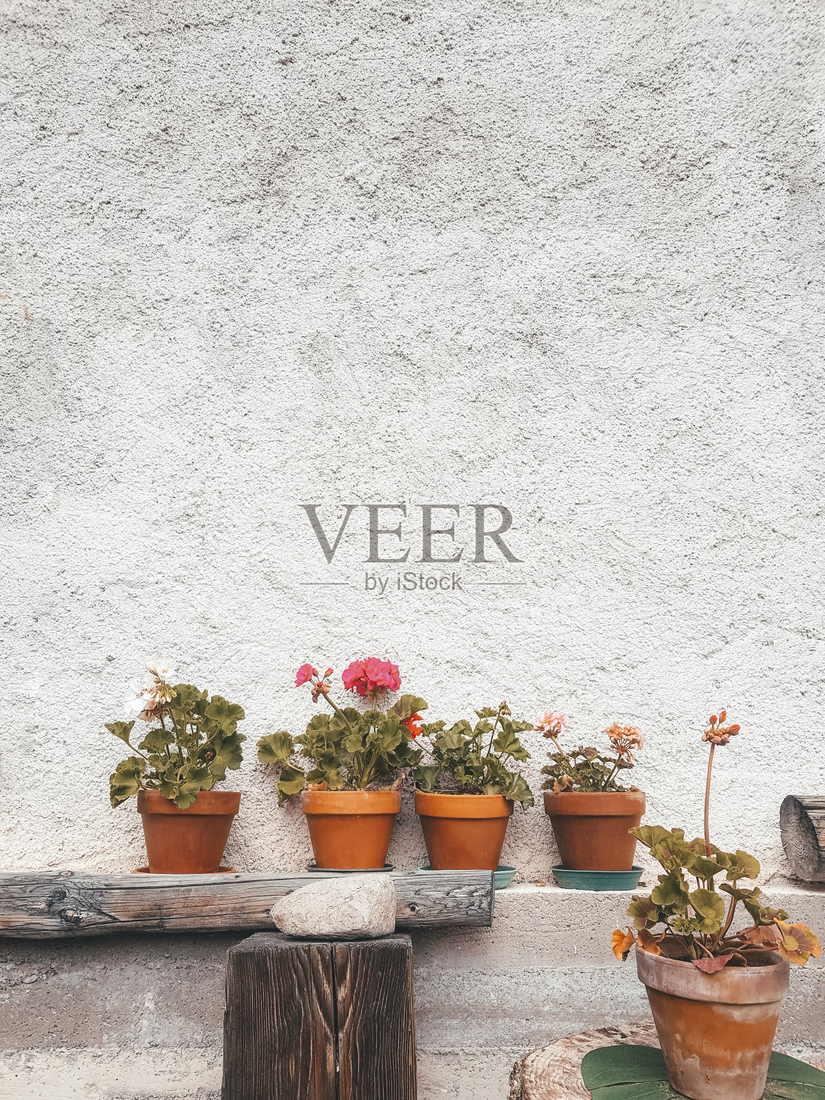 户外插花照片摄影图片