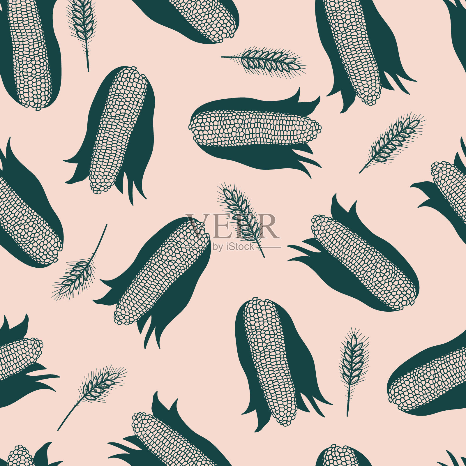 玉米穗轴矢量无缝模式插画图片素材