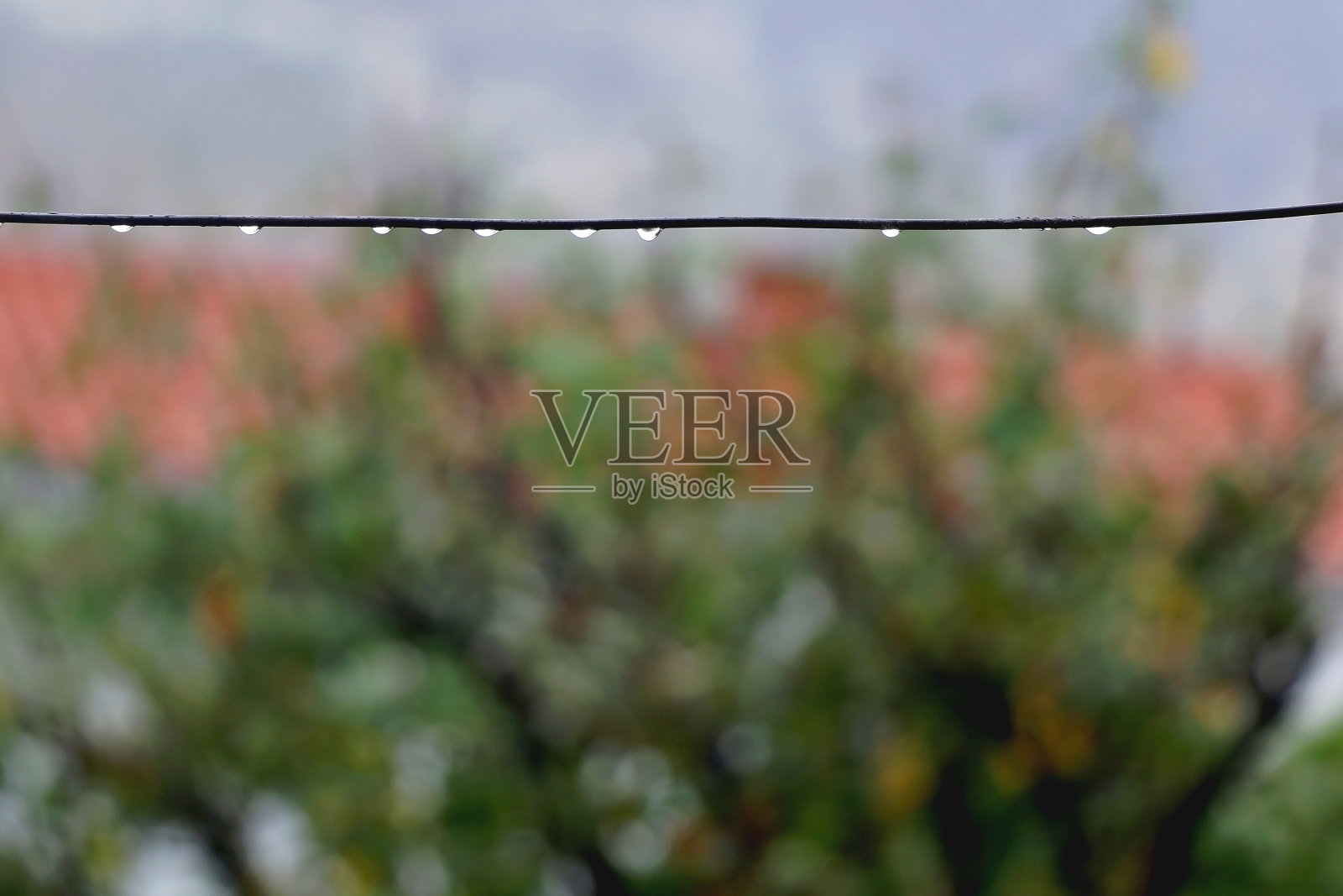 雨滴照片摄影图片