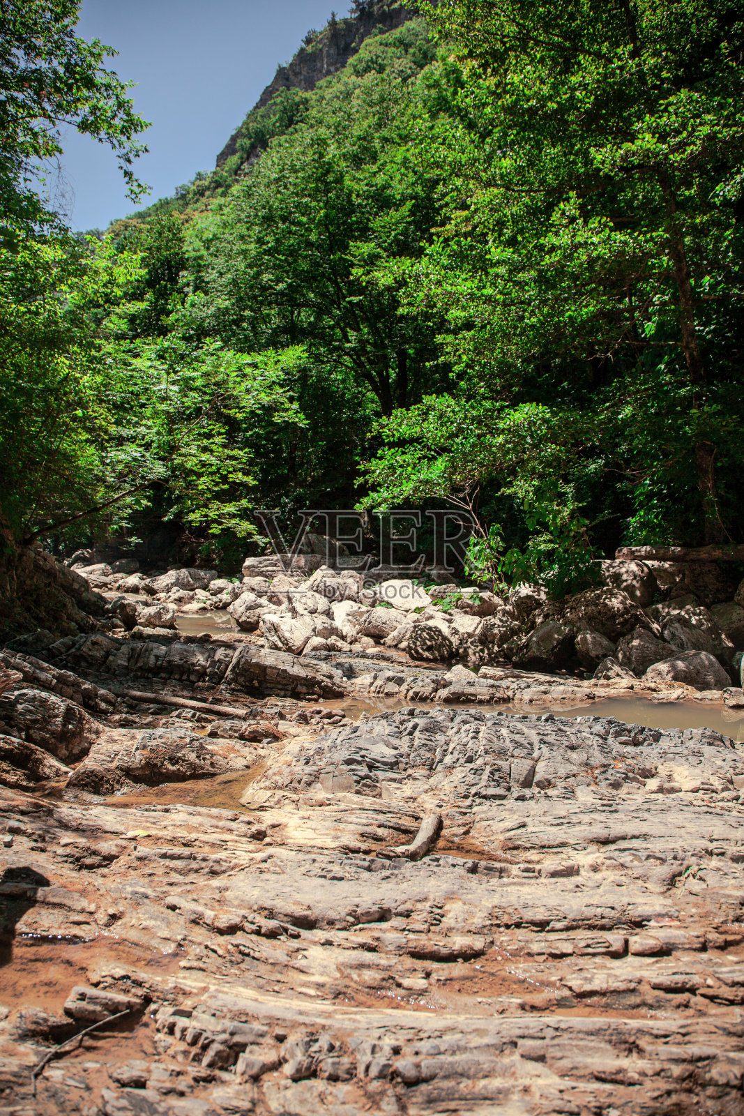 岩石嶙峋的峡谷和翠绿葱郁的森林。夏天的风景照片摄影图片