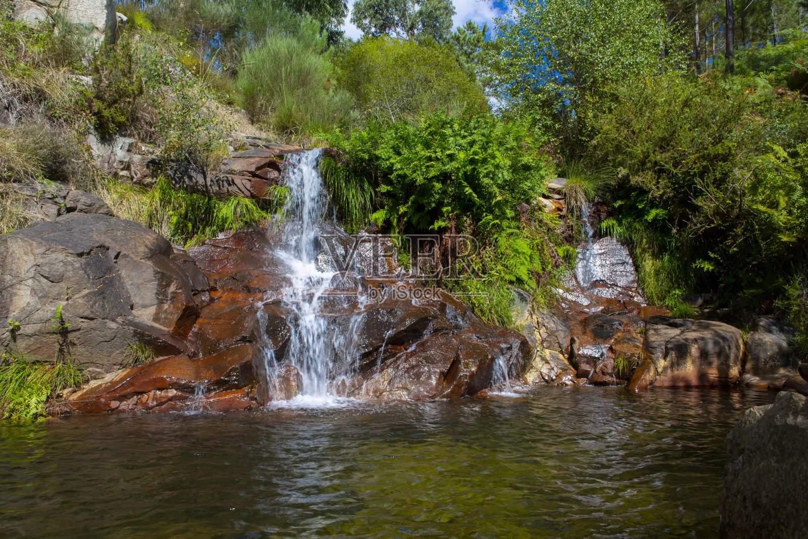 波扎·达·莫拉照片摄影图片