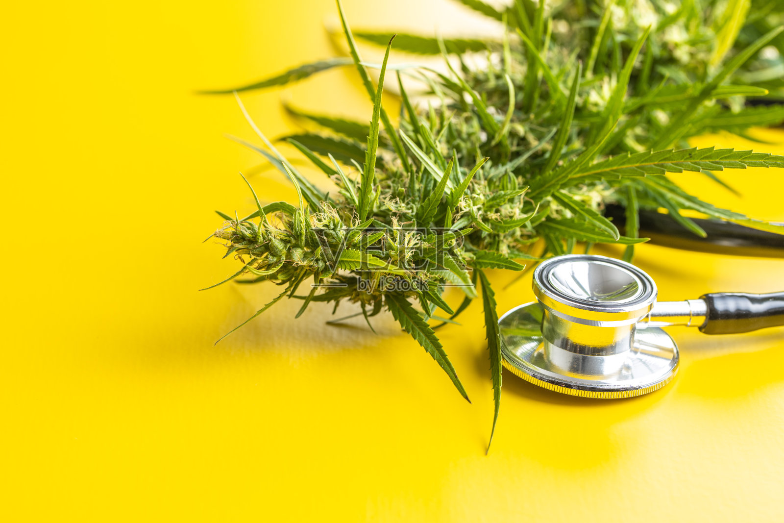 大麻花蕾大麻和听诊器。照片摄影图片