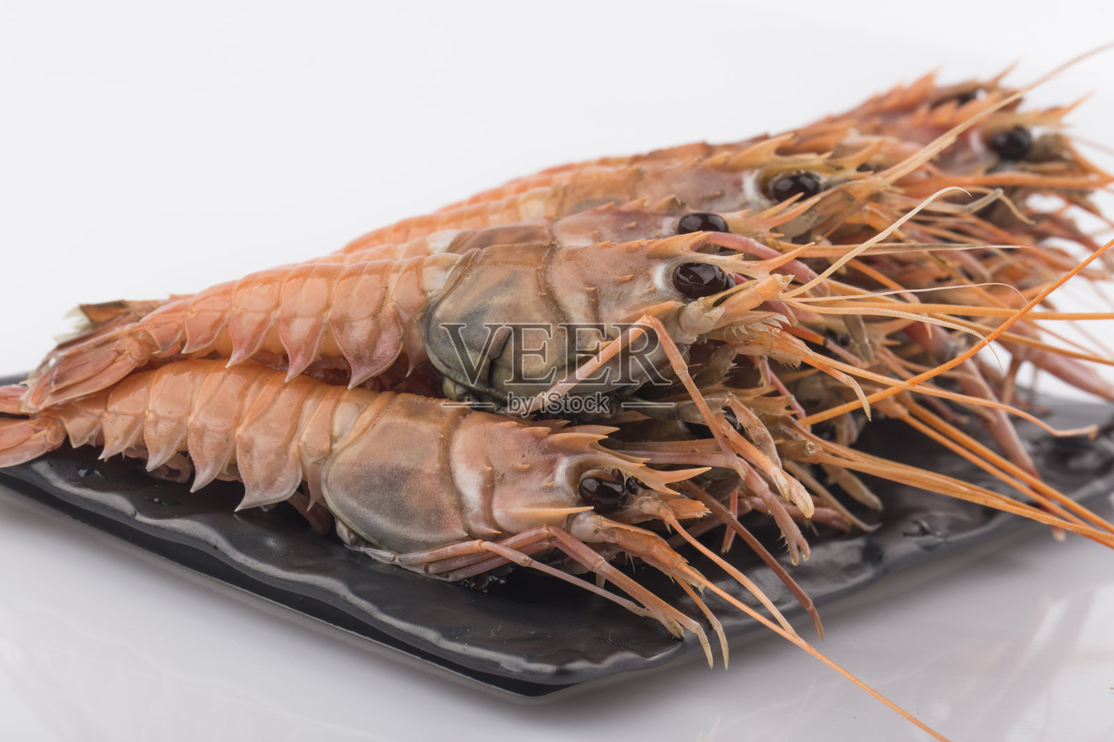 红色条纹龙虾照片与白色背景。照片摄影图片