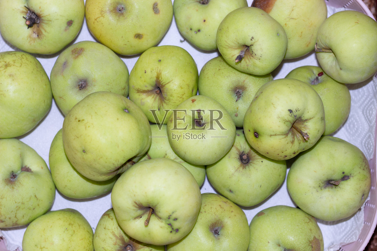 绿色，新鲜，成熟的安托诺夫卡苹果堆照片摄影图片