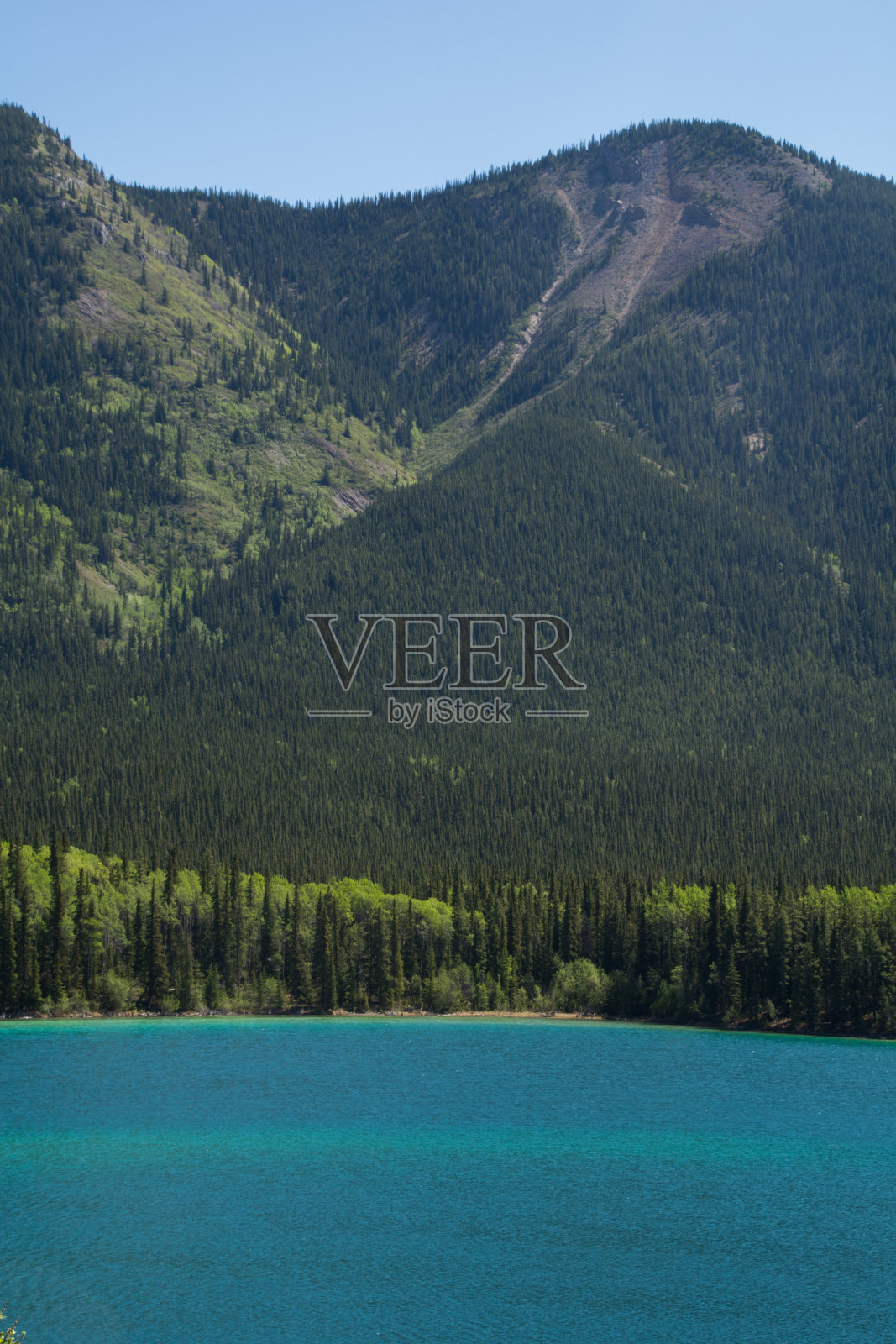 森林山谷中的一个亮蓝色的湖照片摄影图片