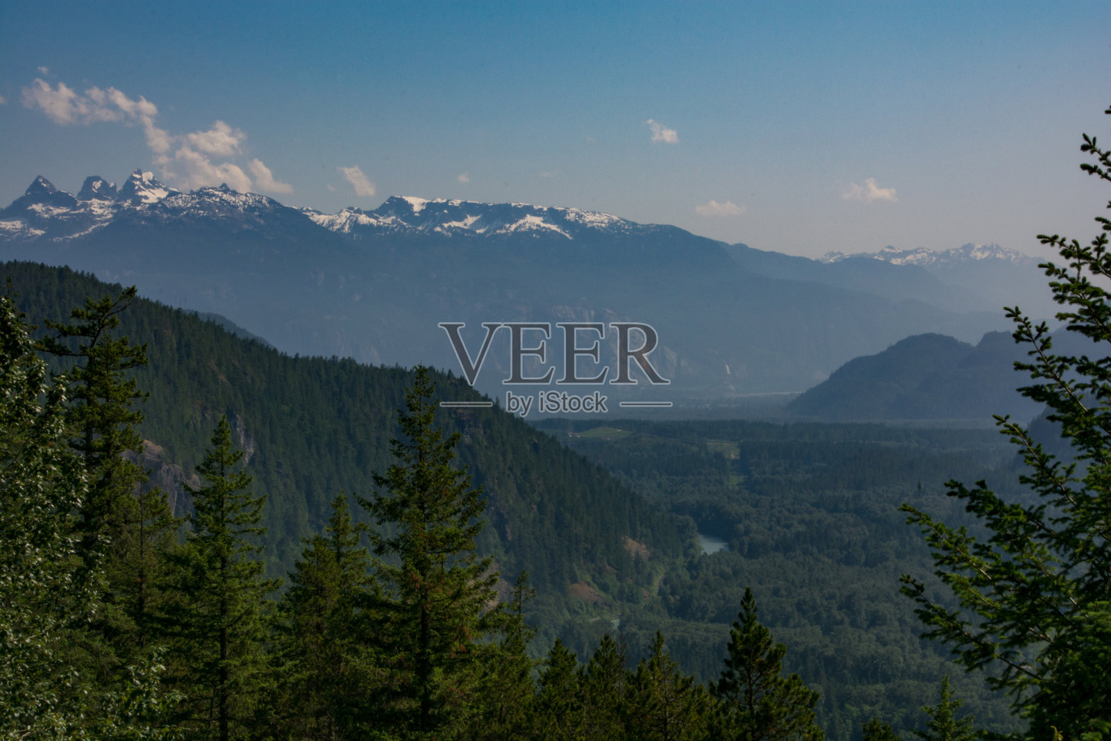 不列颠哥伦比亚省的森林山谷照片摄影图片