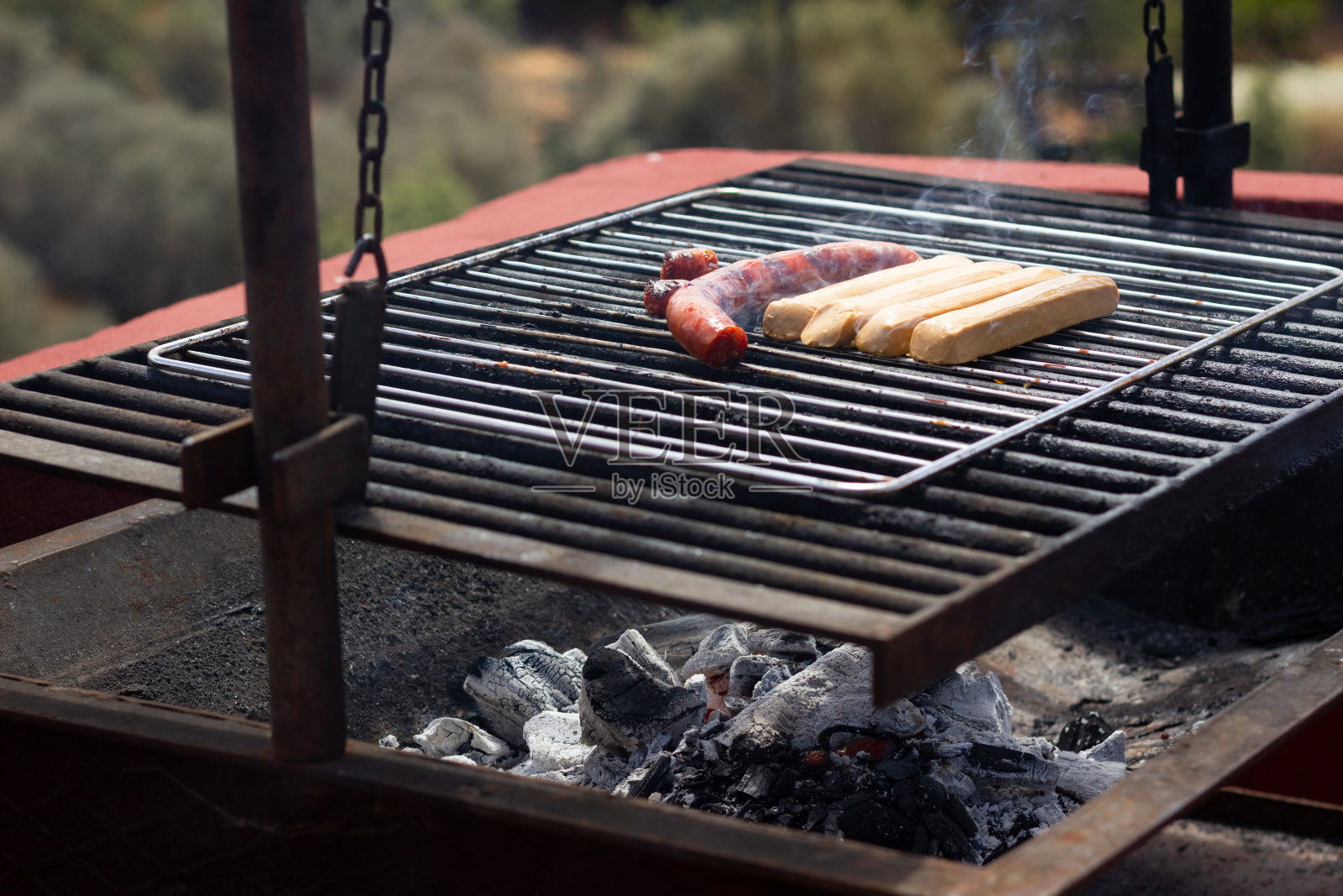 烤肉肉和素食香肠照片摄影图片