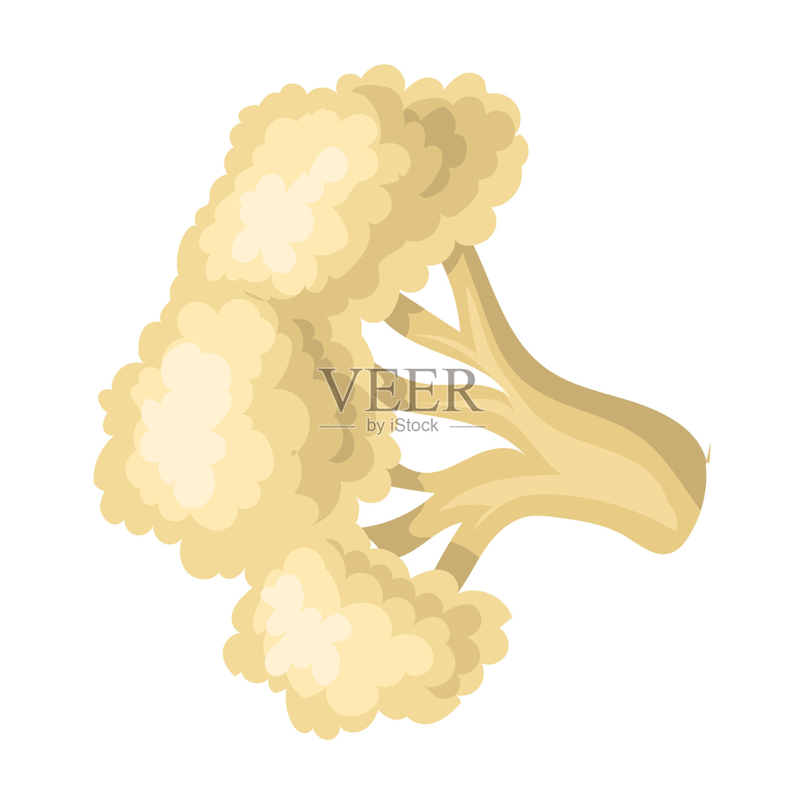 菜花iconcartoon图标插画图片素材