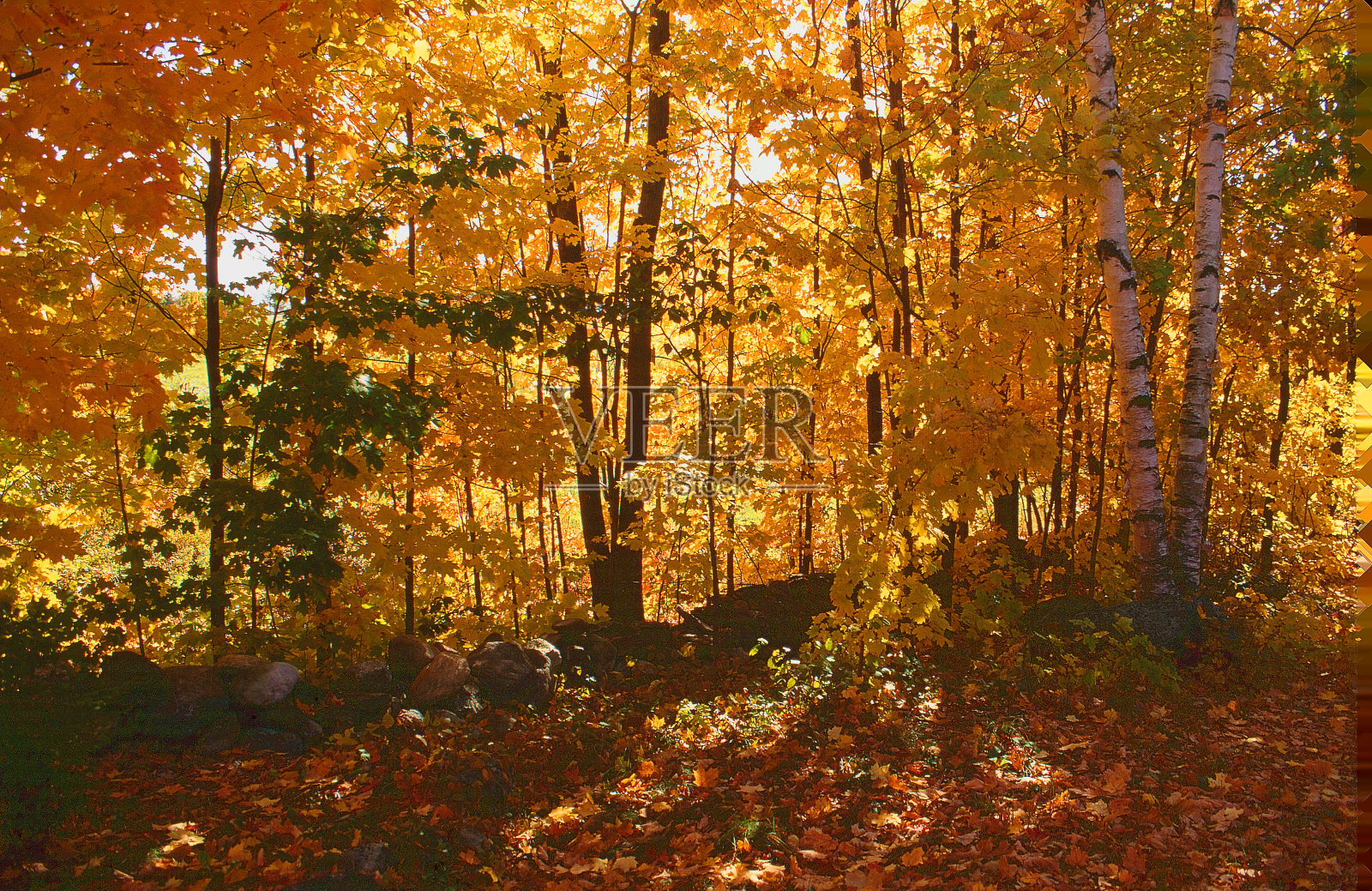 新英格兰秋色照片摄影图片