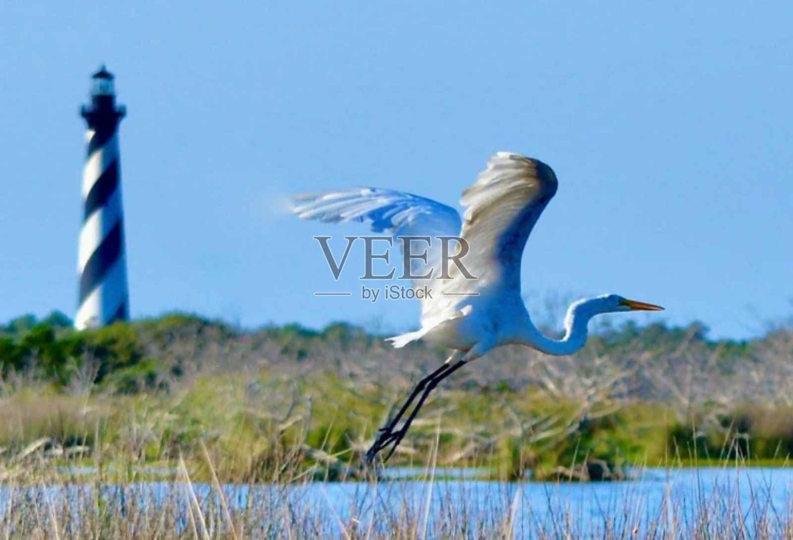 飞照片摄影图片
