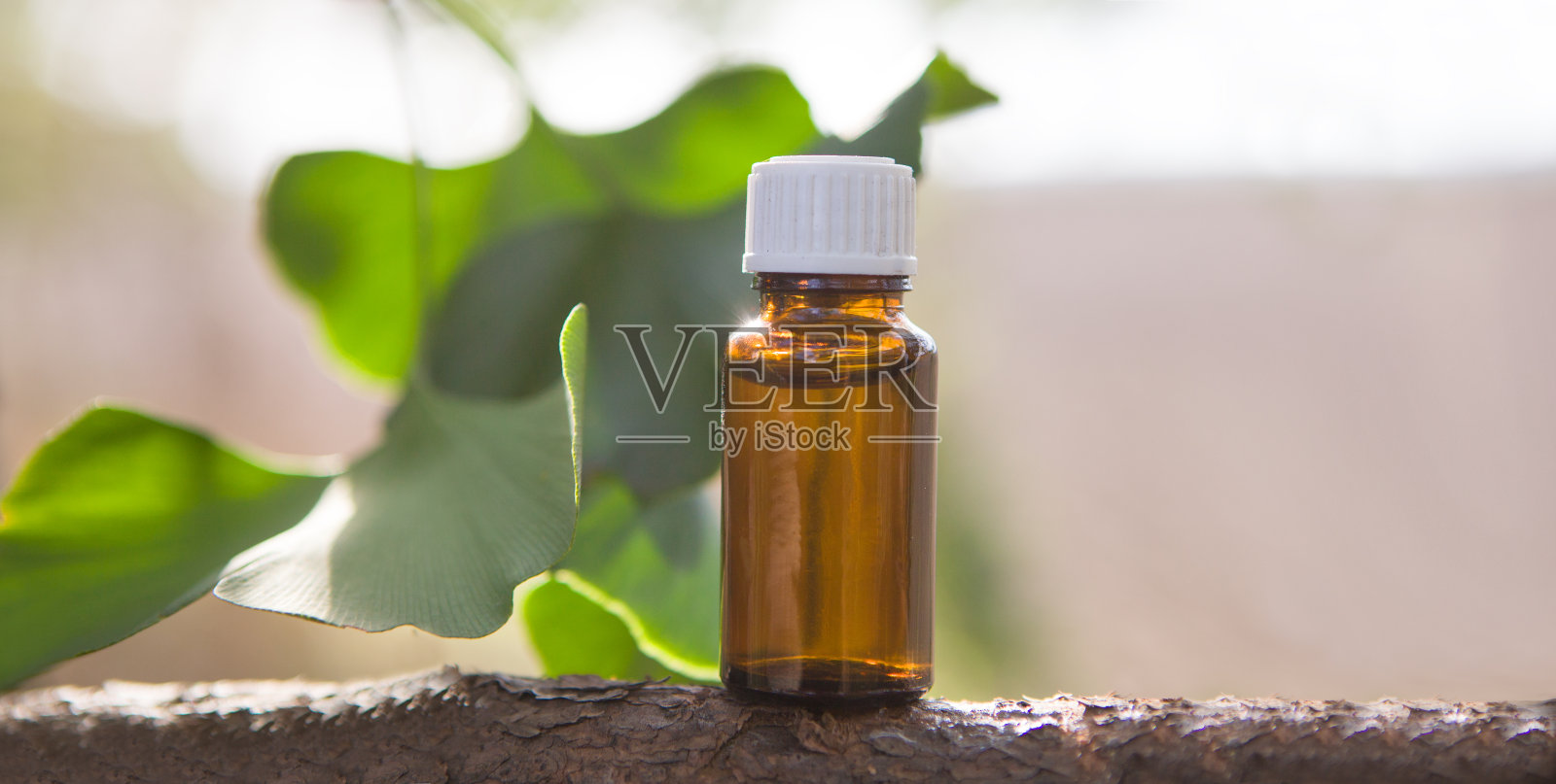 木质背景为银杏叶和药瓶照片摄影图片