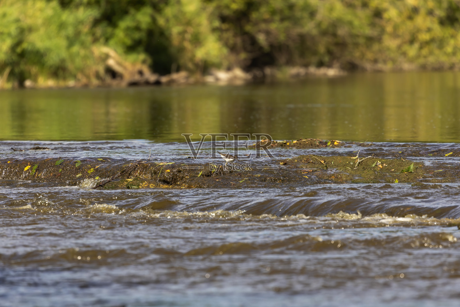 这条河在一个深深的山谷里照片摄影图片