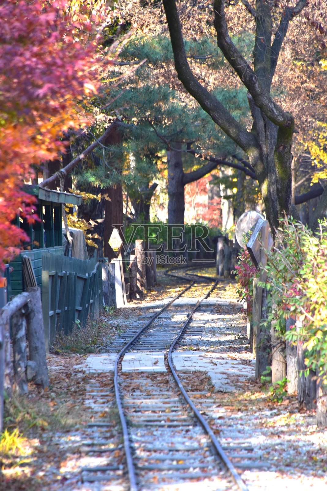 迷你火车铁路照片摄影图片